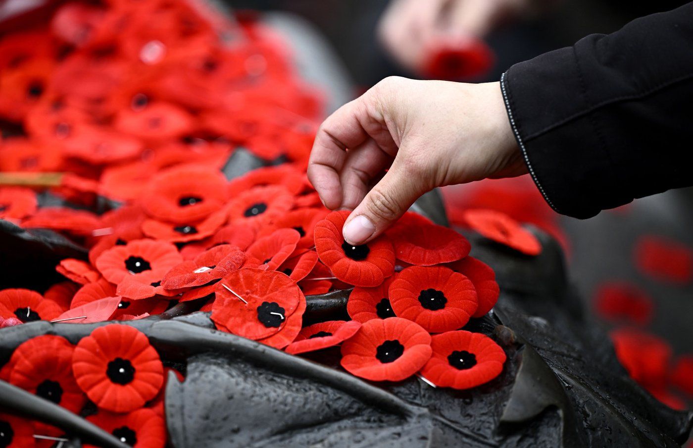 Photo Gallery Remembrance Day Across Canada ReachFM Peace Country s 