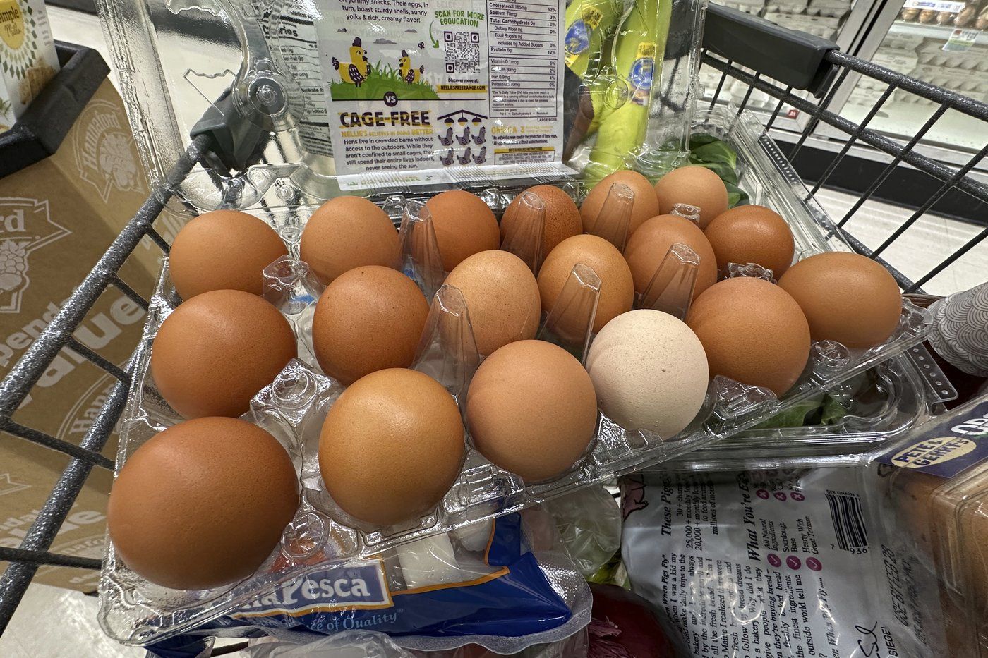 FILE - Eggs sit in a container in a shopping cart at grocery store, Monday, Jan. 27, 2025, in Windham, Maine. (AP Photo/Robert F. Bukaty, File)