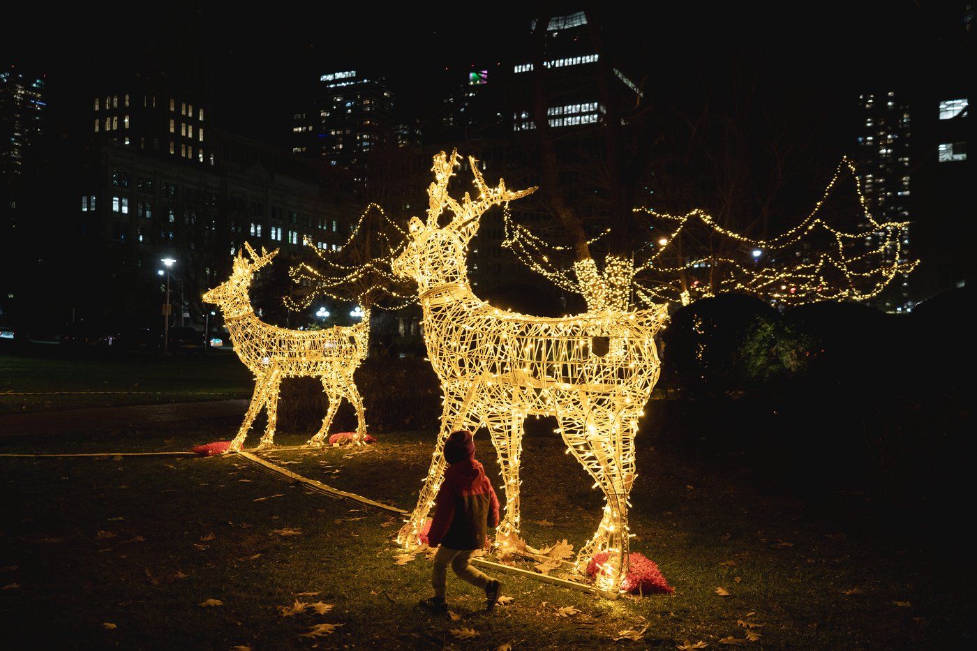 Queen's Park, the Ontario provincial legislature, is seen decorated for the holidays with lights, in Toronto, Friday, Nov. 21, 2025. THE CANADIAN PRESS/Giordano Ciampini